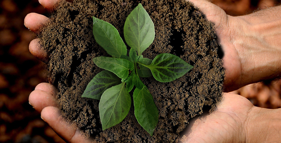 ？苰lzzcom永利总站线路检测公司荣获国新杯·ESG金牛奖碳中和二十强